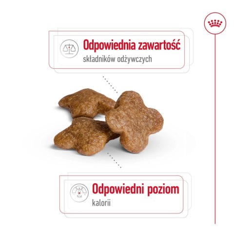 ROYAL CANIN Mini Adult 8+ 2kg Royal Canin ROYAL CANIN Mini Adult 8+ 2kg Royal Canin