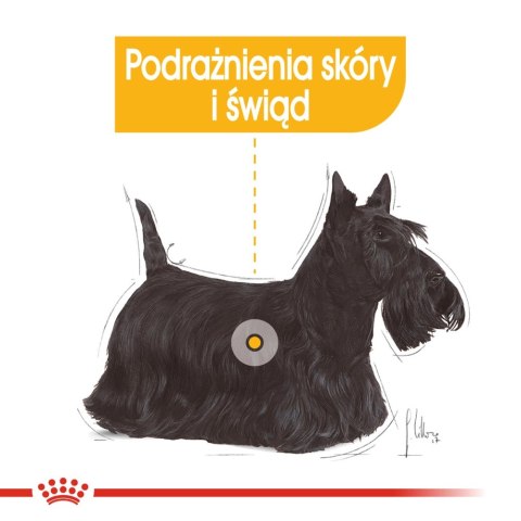 ROYAL CANIN Mini Dermacomfort 8kg Royal Canin ROYAL CANIN Mini Dermacomfort 8kg Royal Canin