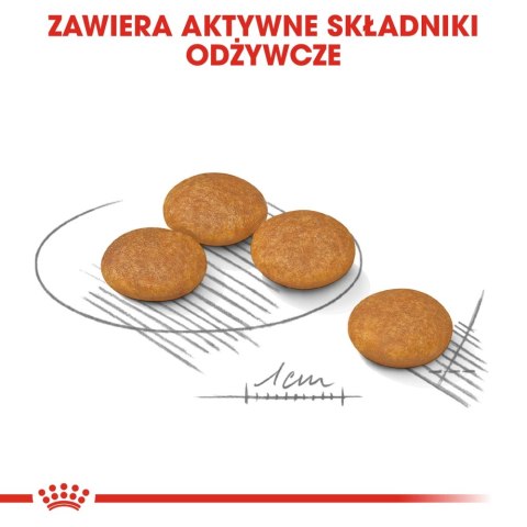 ROYAL CANIN Mini Dermacomfort 8kg Royal Canin ROYAL CANIN Mini Dermacomfort 8kg Royal Canin