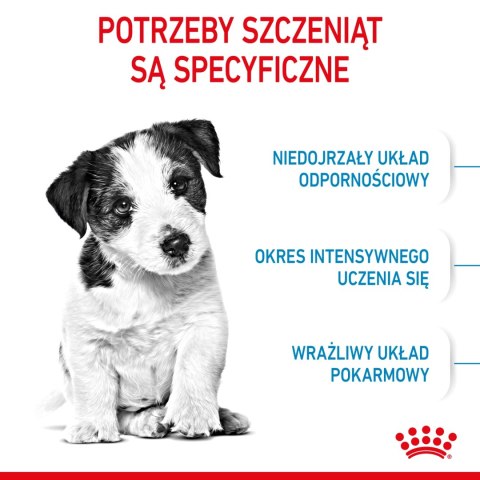 ROYAL CANIN Mini Puppy 800g Royal Canin ROYAL CANIN Mini Puppy 800g Royal Canin