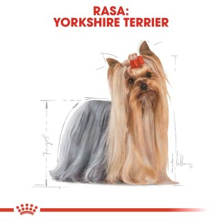 ROYAL CANIN Yorkshire Terrier Adult 3kg Royal Canin