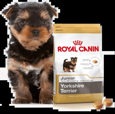 ROYAL CANIN Yorkshire Terrier Puppy 1,5kg Royal Canin ROYAL CANIN Yorkshire Terrier Puppy 1,5kg Royal Canin