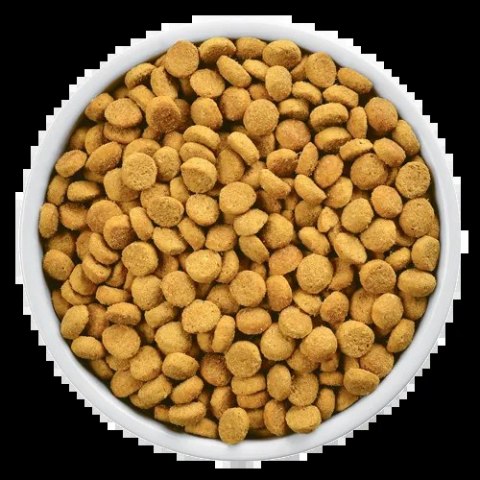 Hill's PD Prescription Diet Feline r/d 1,5kg Hills Hill's PD Prescription Diet Feline r/d 1,5kg Hills