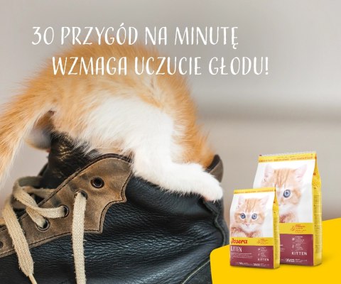 Josera Kitten 10kg Josera Josera Kitten 10kg Josera