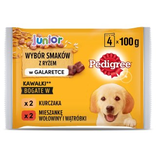Pedigree Mokra Karma Dla Szczeniąt W Galaretce (Z Kurczakiem I Ryżem, Z Wołowiną I Ryżem) 4x100g Pedigree