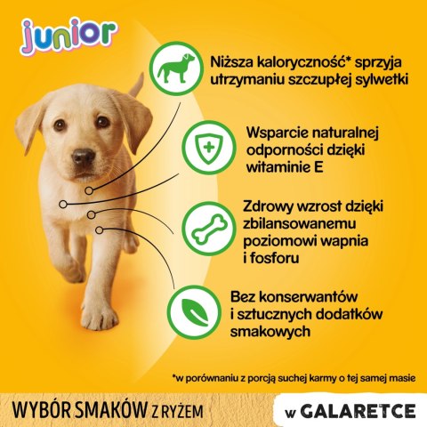 Pedigree Mokra Karma Dla Szczeniąt W Galaretce (Z Kurczakiem I Ryżem, Z Wołowiną I Ryżem) 4x100g Pedigree Pedigree Mokra Karma Dla Szczeniąt W Galaretce (Z Kurczakiem I Ryżem, Z Wołowiną I Ryżem) 4x100g Pedigree