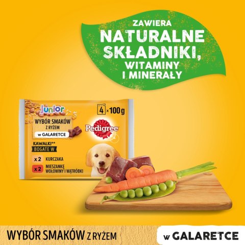 Pedigree Mokra Karma Dla Szczeniąt W Galaretce (Z Kurczakiem I Ryżem, Z Wołowiną I Ryżem) 4x100g Pedigree Pedigree Mokra Karma Dla Szczeniąt W Galaretce (Z Kurczakiem I Ryżem, Z Wołowiną I Ryżem) 4x100g Pedigree