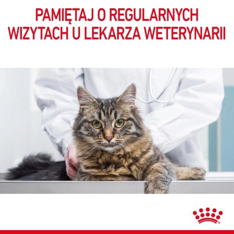 ROYAL CANIN Appetite Control Care 400g Royal Canin ROYAL CANIN Appetite Control Care 400g Royal Canin