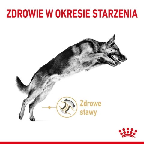 ROYAL CANIN German Shepherd Adult 5+ 12kg Royal Canin ROYAL CANIN German Shepherd Adult 5+ 12kg Royal Canin