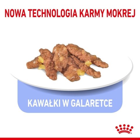 ROYAL CANIN Indoor Sterilised W Galaretce 12x85g Royal Canin ROYAL CANIN Indoor Sterilised W Galaretce 12x85g Royal Canin