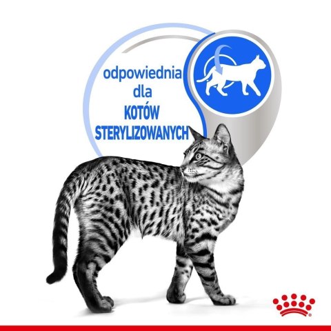 ROYAL CANIN Indoor Sterilised W Galaretce 12x85g Royal Canin ROYAL CANIN Indoor Sterilised W Galaretce 12x85g Royal Canin
