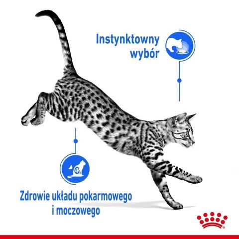 ROYAL CANIN Indoor Sterilised W Galaretce 12x85g Royal Canin ROYAL CANIN Indoor Sterilised W Galaretce 12x85g Royal Canin