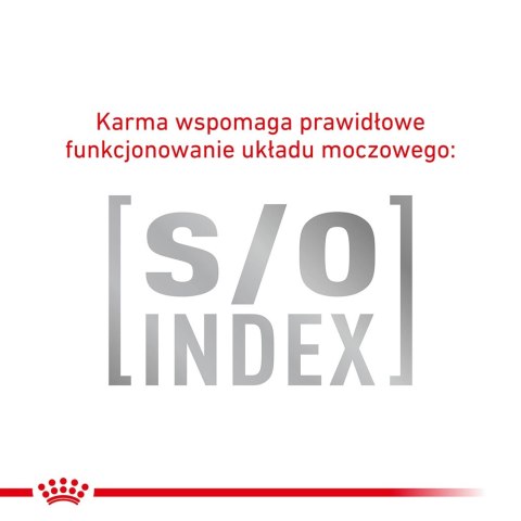 ROYAL CANIN Veterinary Renal Hypoallergenic Feline 400g Royal Canin weterynaria ROYAL CANIN Veterinary Renal Hypoallergenic Feline 400g Royal Canin weterynaria