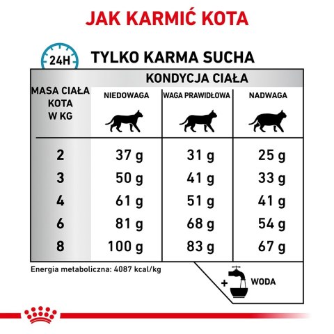 ROYAL CANIN Veterinary Renal Hypoallergenic Feline 400g Royal Canin weterynaria ROYAL CANIN Veterinary Renal Hypoallergenic Feline 400g Royal Canin weterynaria