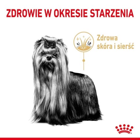 ROYAL CANIN Yorkshire Terrier Adult 8+ 1,5kg Royal Canin ROYAL CANIN Yorkshire Terrier Adult 8+ 1,5kg Royal Canin