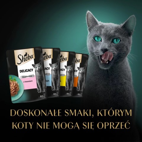 Sheba Fine Flakes In Jelly Saszetka 4x85g Sheba Sheba Fine Flakes In Jelly Saszetka 4x85g Sheba