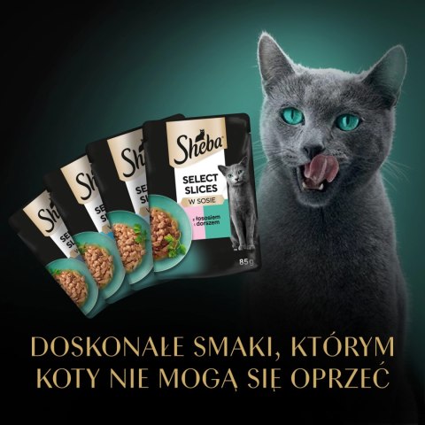 Sheba Saszetka Selection In Sauce Smaki Rybne 4x85g Sheba Sheba Saszetka Selection In Sauce Smaki Rybne 4x85g Sheba