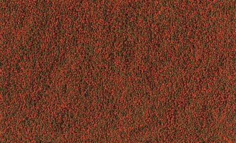 Tetra Cichlid Granules 500ml TETRA Tetra Cichlid Granules 500ml TETRA