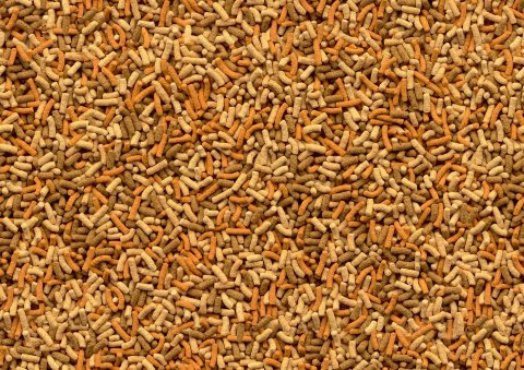 Tetra Pond Variety Sticks 4l TETRA Tetra Pond Variety Sticks 4l TETRA