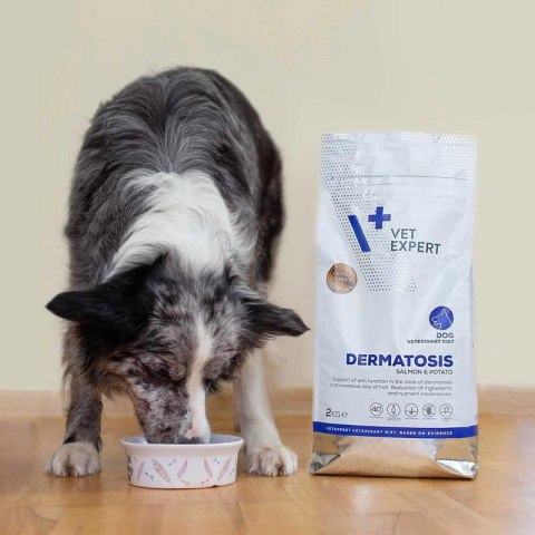 VETEXPERT Veterinary Diet Dog Dermatosis Salmon&Potato 2kg VETEXPERT