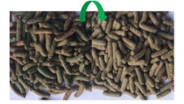 Versele-Laga Cuni Nature Original Pokarm Dla Królików 9kg Versele-Laga Versele-Laga Cuni Nature Original Pokarm Dla Królików 9kg Versele-Laga