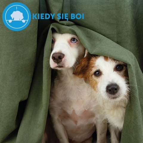 Ceva Animal Health Polska Sp. Z O.o. Adaptil Wkład Dyfuzora 48ml Ceva Animal Health Polska Sp. z o.o. Ceva Animal Health Polska Sp. Z O.o. Adaptil Wkład Dyfuzora 48ml Ceva Animal Health Polska Sp. z o.o.