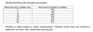 Dolina Noteci Rafi Junior Karma Sucha Dla Psa Z Jagnięciną 10kg Dolina Noteci