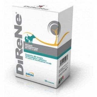 Geulincx Direne 32szt Geulincx