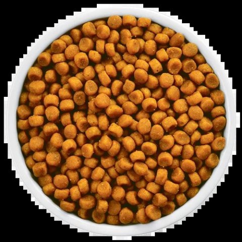 Hill's PD Prescription Diet Feline y/d 1,5kg Hills Hill's PD Prescription Diet Feline y/d 1,5kg Hills