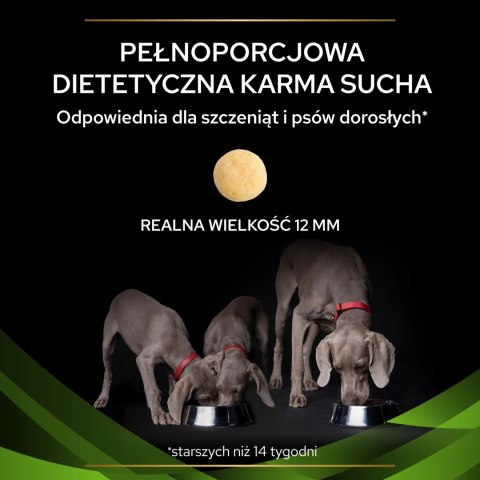 PURINA Pro Plan Veterinary Diets HA Hypoallergenic Dog 1,3kg PRO PLAN Veterinary Diets