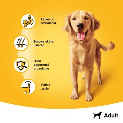 Pedigree Mokra Karma Dla Dorosłych Psów Z Wołowiną W Galaretce 1200g Pedigree Pedigree Mokra Karma Dla Dorosłych Psów Z Wołowiną W Galaretce 1200g Pedigree