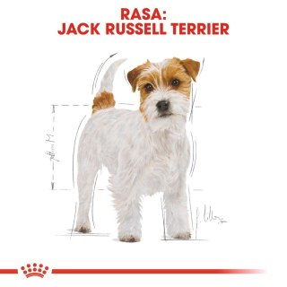 ROYAL CANIN Jack Russell Terrier Adult 7,5kg Royal Canin