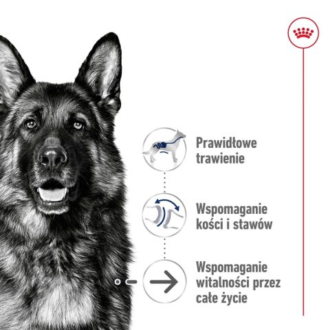 ROYAL CANIN Maxi Ageing 8+ 15kg Royal Canin