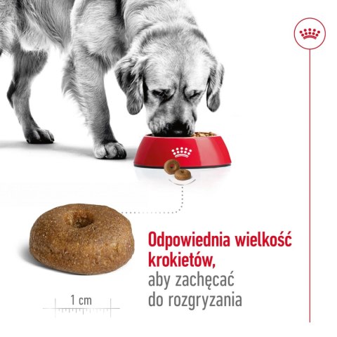 ROYAL CANIN Maxi Ageing 8+ 15kg Royal Canin