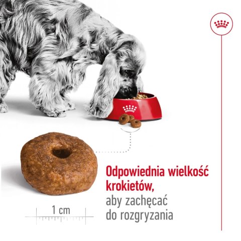 ROYAL CANIN Medium Ageing 10+ 15kg Royal Canin