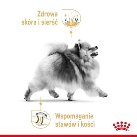 ROYAL CANIN Pomeranian 12x85g Royal Canin ROYAL CANIN Pomeranian 12x85g Royal Canin