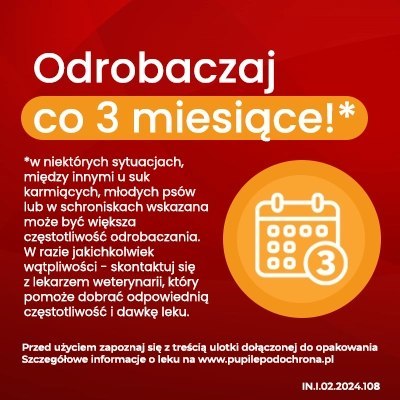 Vet-Agro InPar Tabletki Odrobaczające Dla Psa 6szt Vet-Agro Vet-Agro InPar Tabletki Odrobaczające Dla Psa 6szt Vet-Agro
