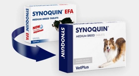 VetPlus Synoquin Efa Medium Breed 30tab Vet Plus Limited VetPlus Synoquin Efa Medium Breed 30tab Vet Plus Limited