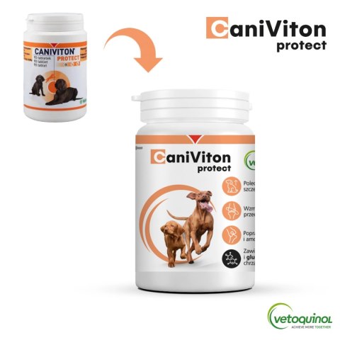 Vetoquinol Caniviton Protect 90szt Vetoquinol Vetoquinol Caniviton Protect 90szt Vetoquinol