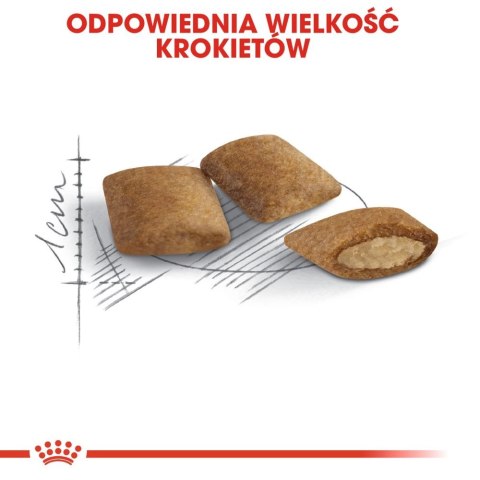 ROYAL CANIN Ageing +12 400g Royal Canin ROYAL CANIN Ageing +12 400g Royal Canin