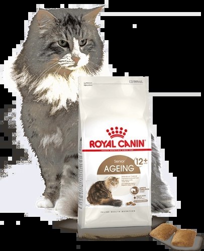 ROYAL CANIN Ageing +12 4kg Royal Canin ROYAL CANIN Ageing +12 4kg Royal Canin