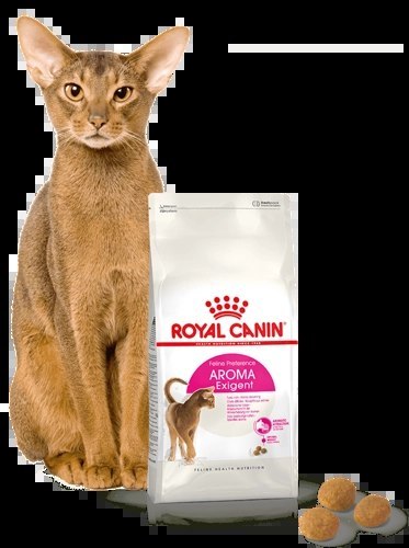 ROYAL CANIN Aroma Exigent 400g Royal Canin ROYAL CANIN Aroma Exigent 400g Royal Canin