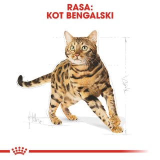 ROYAL CANIN Bengal Adult 10kg Royal Canin