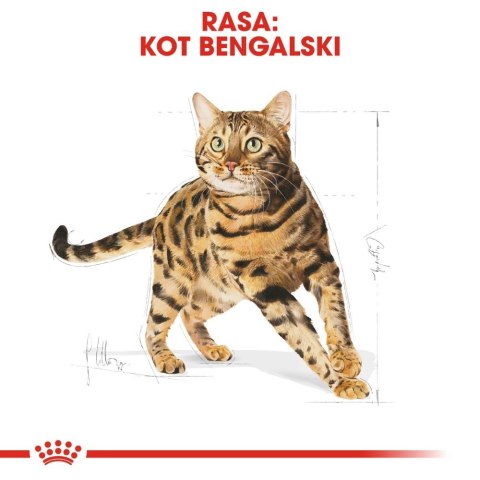 ROYAL CANIN Bengal Adult 10kg Royal Canin ROYAL CANIN Bengal Adult 10kg Royal Canin