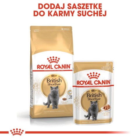 ROYAL CANIN British Shorthair Adult 10kg Royal Canin ROYAL CANIN British Shorthair Adult 10kg Royal Canin