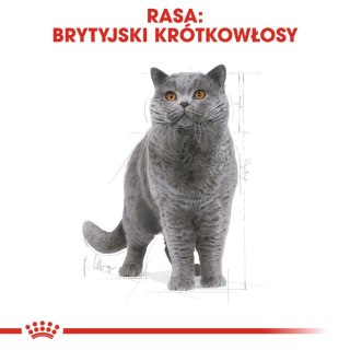 ROYAL CANIN British Shorthair Adult 2kg Royal Canin