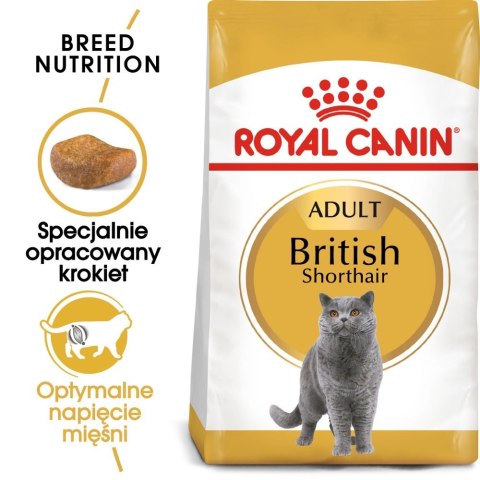 ROYAL CANIN British Shorthair Adult 4kg Royal Canin ROYAL CANIN British Shorthair Adult 4kg Royal Canin