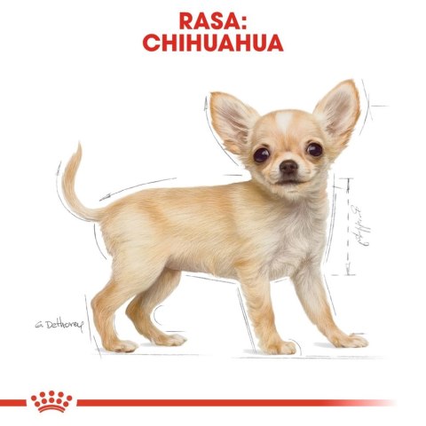 ROYAL CANIN Chihuahua Puppy 1,5kg Royal Canin ROYAL CANIN Chihuahua Puppy 1,5kg Royal Canin