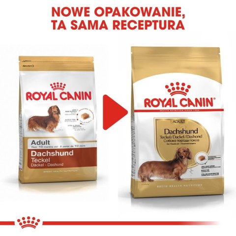 ROYAL CANIN Dachshund Adult 1,5kg Royal Canin ROYAL CANIN Dachshund Adult 1,5kg Royal Canin