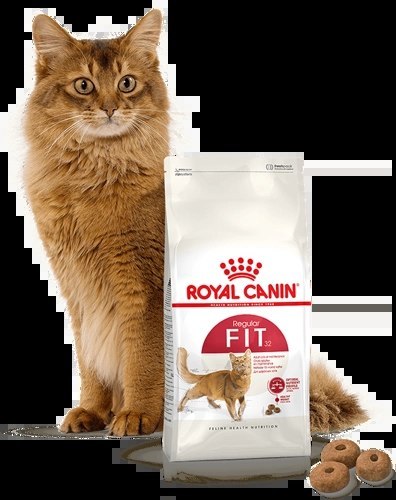 ROYAL CANIN Fit 32 2kg Royal Canin ROYAL CANIN Fit 32 2kg Royal Canin